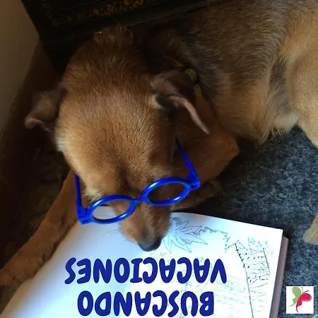 Casa Del Rio De Lindascasas, Petfriendly * Reocín de los Molinos